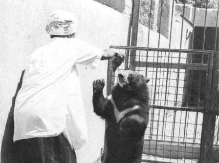 خالد وهو يلاعب الدب