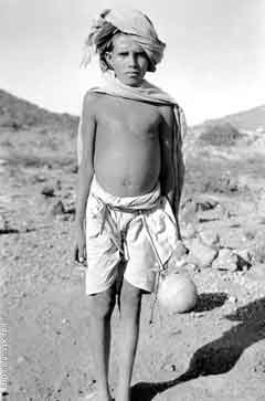 ���� ��� ������ ������ ��� ��� ����