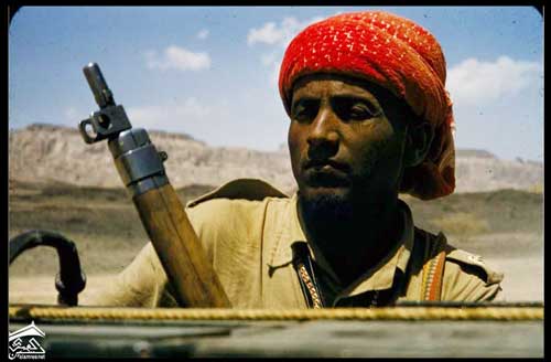 ������� ���� ���� ������� ������