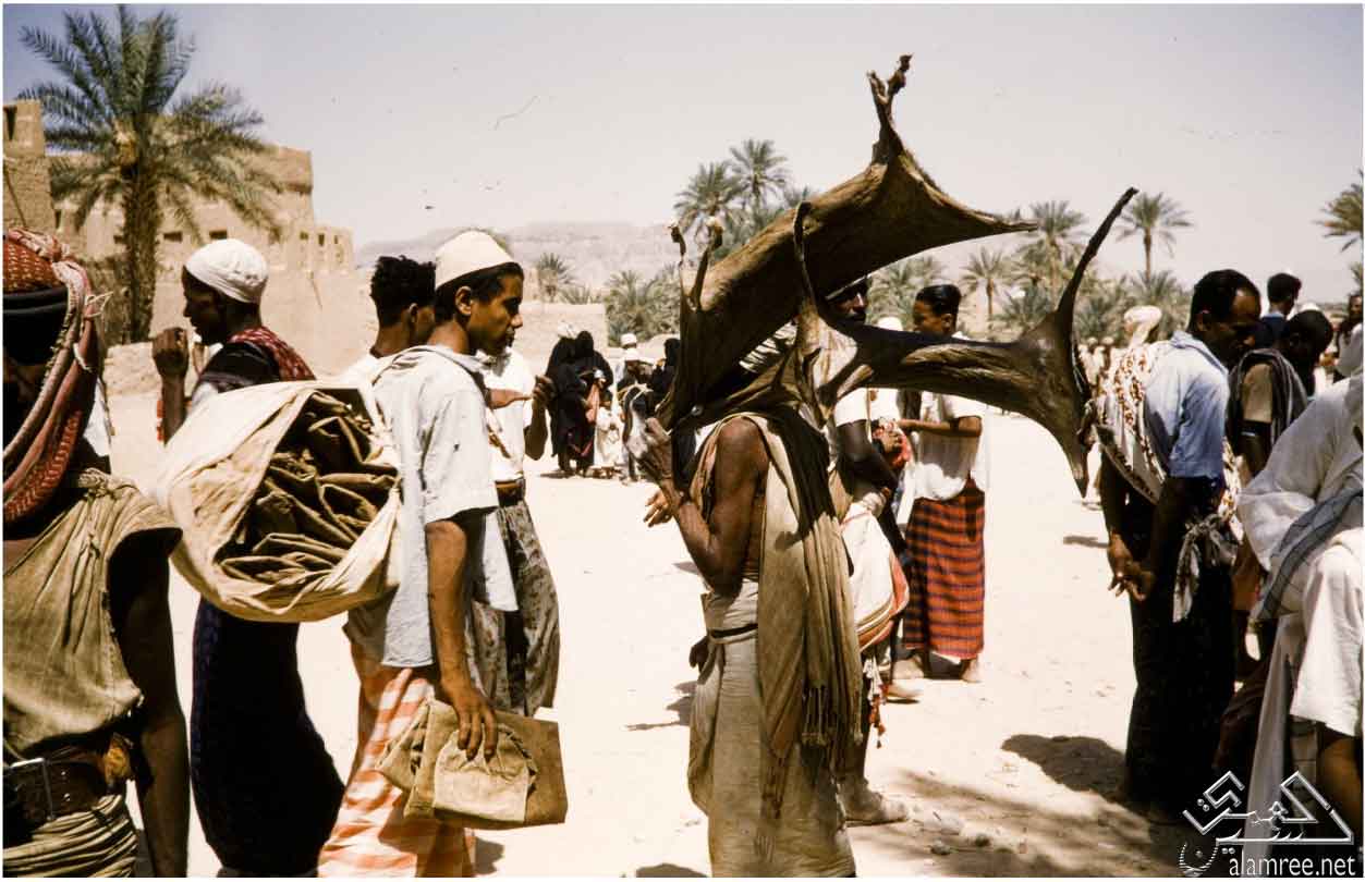 صور مدن حضرموت اليمن قديمة ونادرة