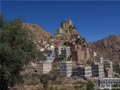 بحث في السجول اليافعية