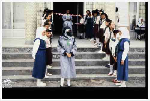 ���� ��� ������ ������ ��� ��� ����