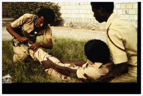 ���� ��� ������ ������ ��� ��� ����