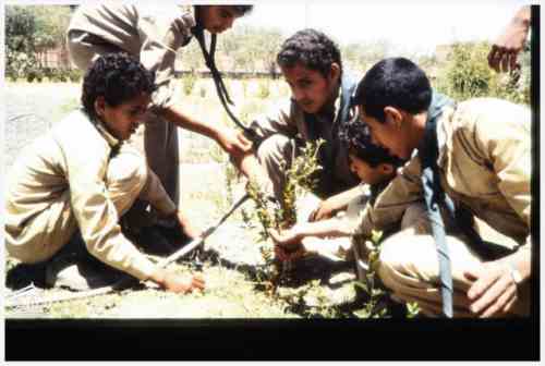 ���� ��� ������ ������ ��� ��� ����