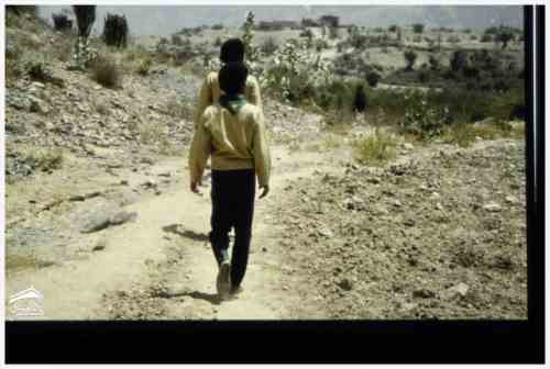 ���� ��� ������ ������ ��� ��� ����