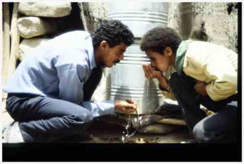 ���� ��� ������ ������ ��� ��� ����