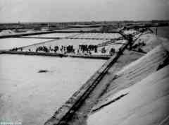 ����� ����� ����� �� ������