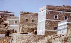 ���� ������ ��� ��� ����