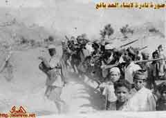 ���� ������ ��� ��� ����