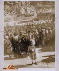 ���� ������ ��� ��� ����