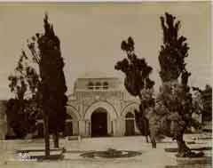 ���� ������ ��� ��� ����