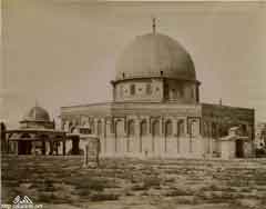 ���� ������ ��� ��� ����