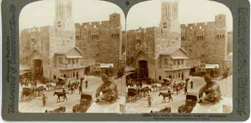 ���� ������ ��� ��� ����