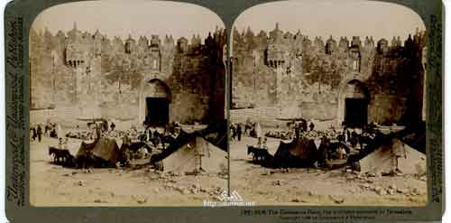 ���� ������ ��� ��� ����