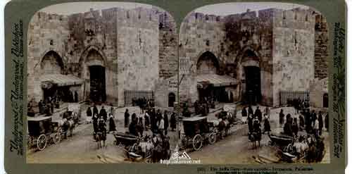 ���� ������ ��� ��� ����