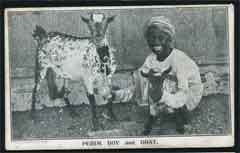 ���� ������ ��� ��� ����