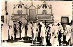 ���� ������ ��� ��� ����