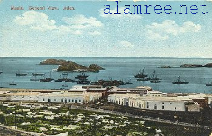 ���� ��� ������ ������ ��� ��� ����