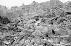 ���� ��� ������ ������ ��� ��� ����