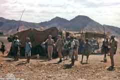 ���� ��� ������ ������ ��� ��� ����