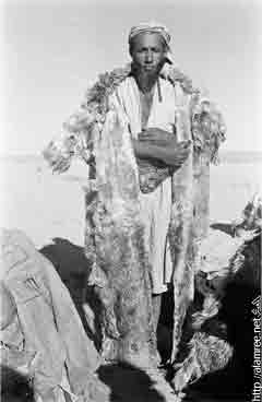 ���� ������ ��� ��� ����