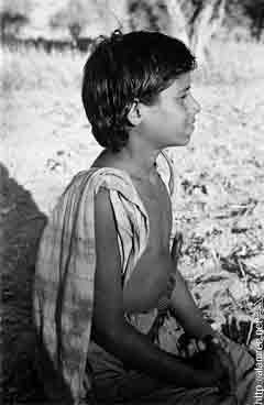 ���� ������ ��� ��� ����