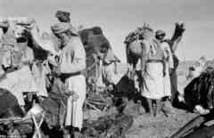 ���� ������ ��� ��� ����