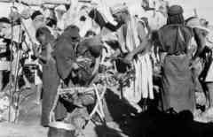 ���� ������ ��� ��� ����