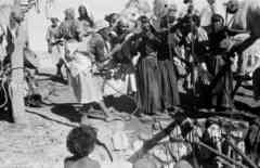 ���� ������ ��� ��� ����