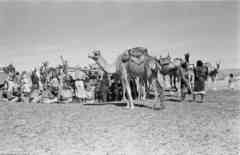 ���� ������ ��� ��� ����