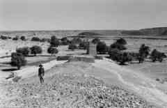 ���� ������ ��� ��� ����