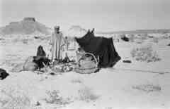 ���� ������ ��� ��� ����