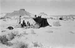 ���� ������ ��� ��� ����