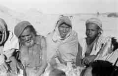 ���� ������ ��� ��� ����