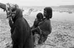 ���� ������ ��� ��� ����