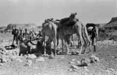 ���� ������ ��� ��� ����