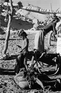 ���� ������ ��� ��� ����