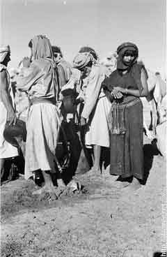 ���� ������ ��� ��� ����