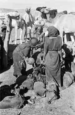 ���� ������ ��� ��� ����