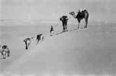 ���� ������ ��� ��� ����