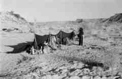 ���� ������ ��� ��� ����