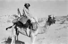 ���� ����� ��� ��� ����