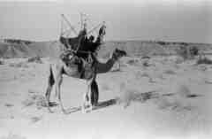 ���� ����� ��� ��� ����