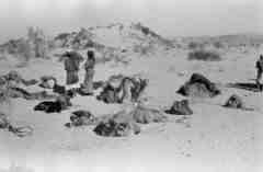 ���� ������ ��� ��� ����