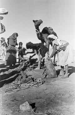 ���� ������ ��� ��� ����