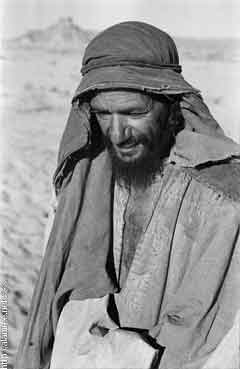 ���� ������ ��� ��� ����