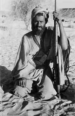 ���� ������ ��� ��� ����