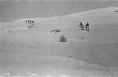 ���� ������ ��� ��� ����