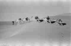 ���� ����� ��� ��� ����