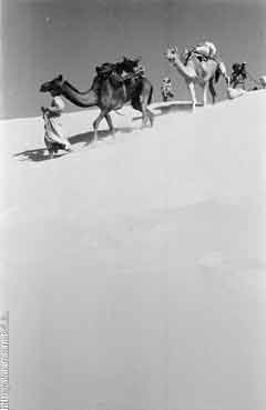 ���� ������ ��� ��� ����